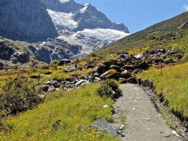 Rob Roy Glacier Track